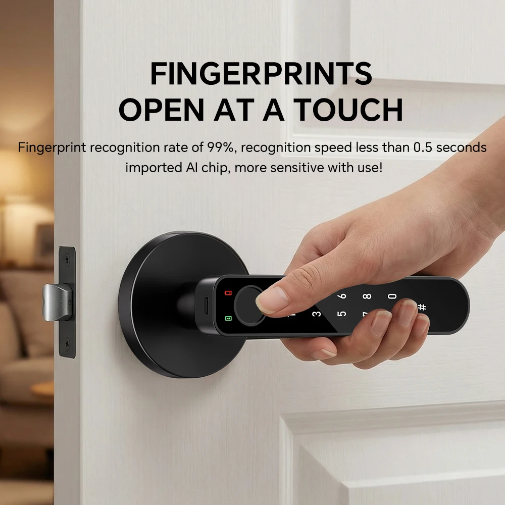 ICCSSI Tuya Door Lock Fingerprint Lock Unlocking Password/Fingerprint/IC Card/Key/APP for Airbnb Garage Room B208APRO