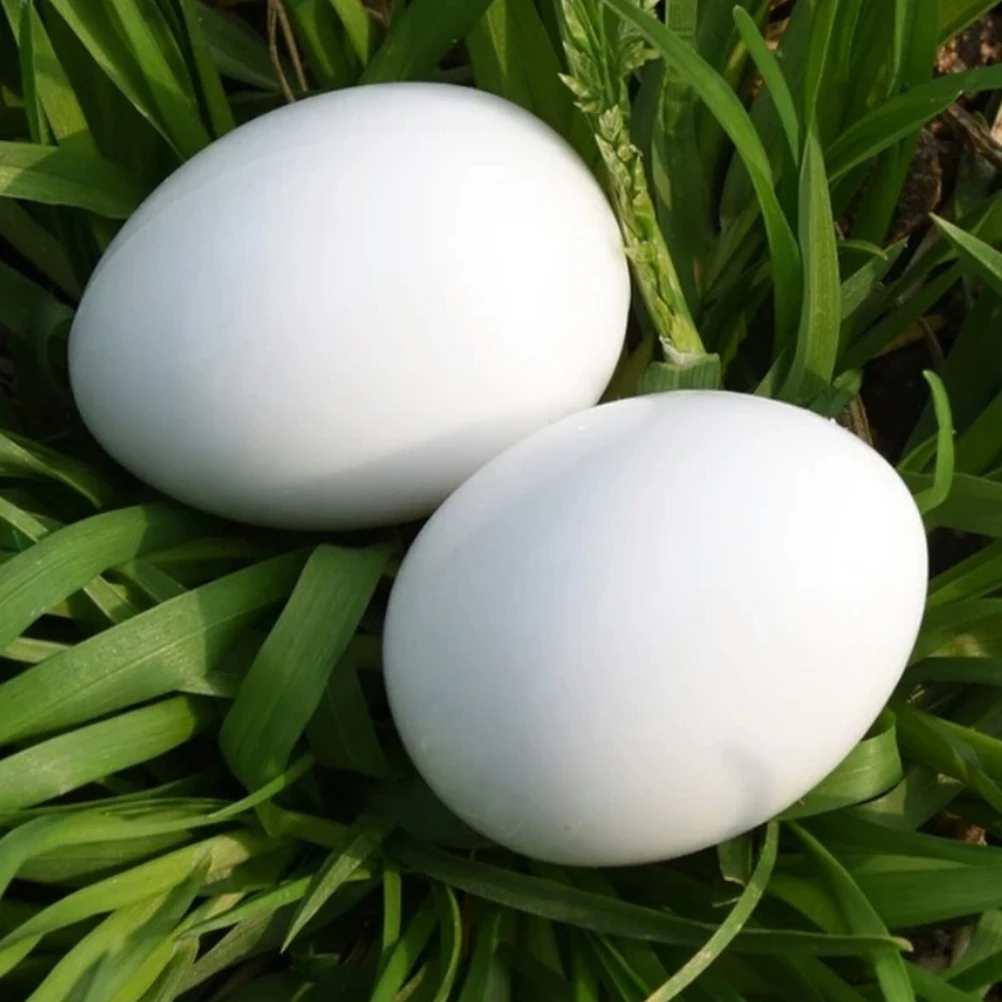 

28pcs Hatching Induced Pigeon Eggs Fake Plastic White Realistic Lightweight Durable Reusable Washable Incubation Eggs Pet