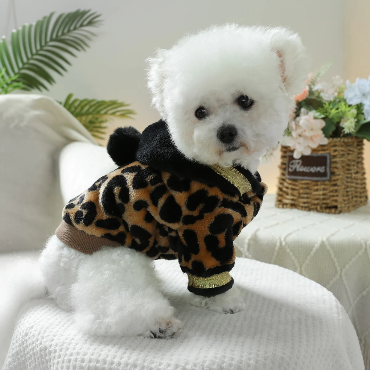 1PC pet clothing leopard print black gold flannel hoodie autumn and winter thick coat suitable for small and medium-sized dogs