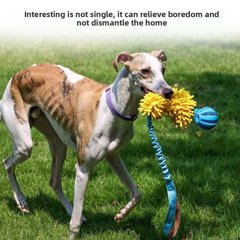 Thumbnail 2 - #41 Latest Dog Tug Toys Offers