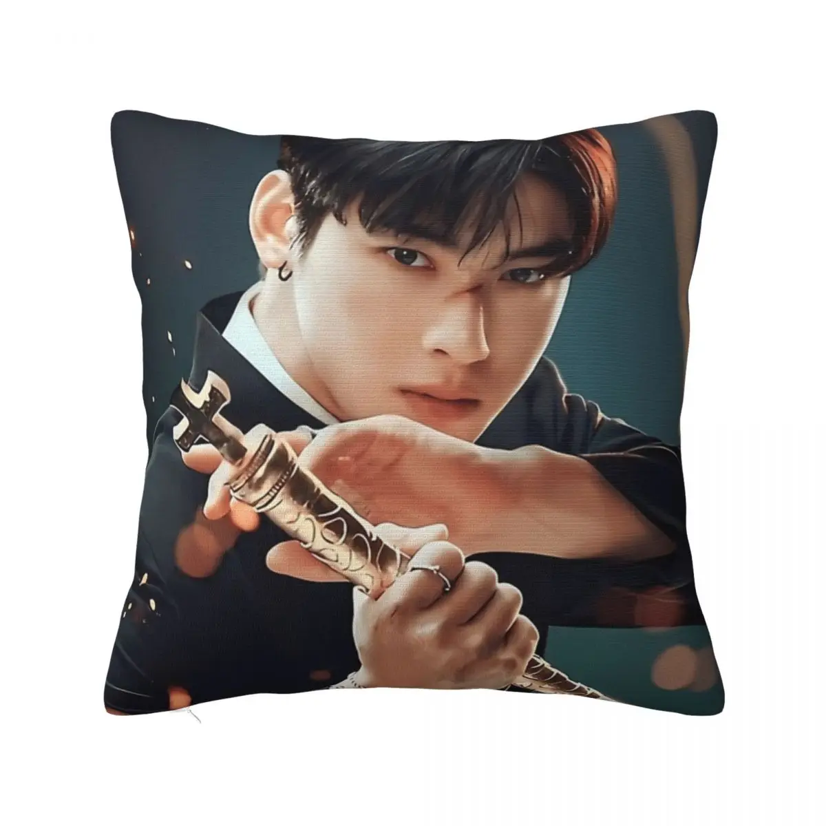 

Y2K Home Cha Eun Woo Kpop Singer MusicDecor Pillowcases Merch Pillow Covers Zippered Multi Size