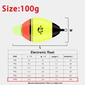 size 100g