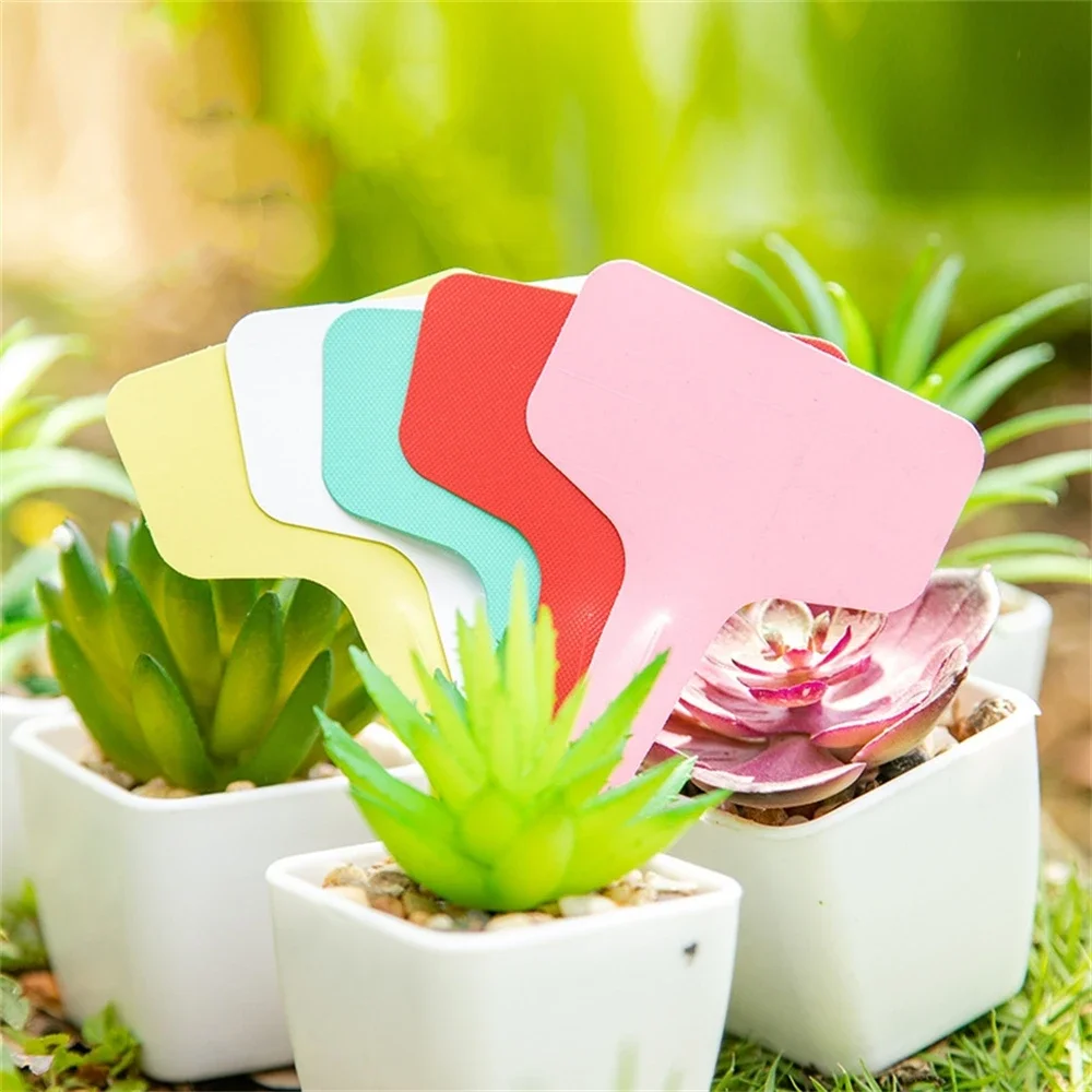 

500pcs T-Type Garden Plant Labels Plastic Nursery Markers for Plant Classification And Sorting Sign Tags