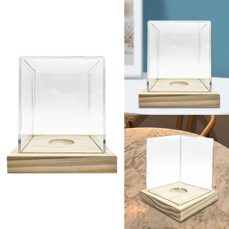 31BE Waterproofed Dustproof Souvenir Storage Box Golf Display Holder Baseball Box