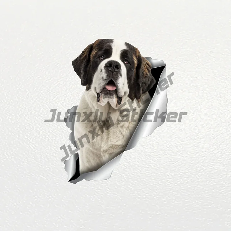 

Car Sticker Saint Bernard Dog Pet Waterproof Vinyl Decal Car Accessories Decor Pegatinas Para Coche