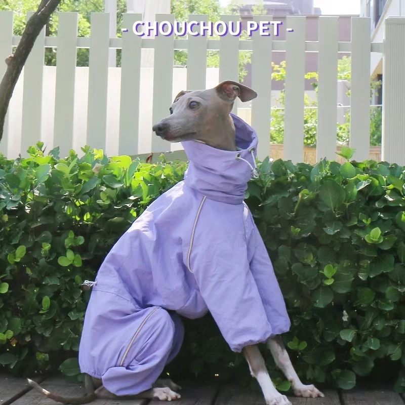 Chubasquero de galgo italiano, chaqueta para mascotas al aire libre de otoño e invierno, ropa para perros resistente al viento y a la lluvia