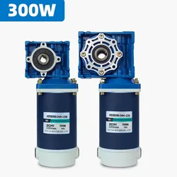 RV30-RV40 DC12V / 24V 300W 9A DC Gear Motor Worm Gear Gearbox High Torque Gear Motor 1800r/min