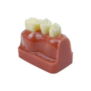 6 Büyük kalıp satışı bir prensesin tacıdır, no. 1