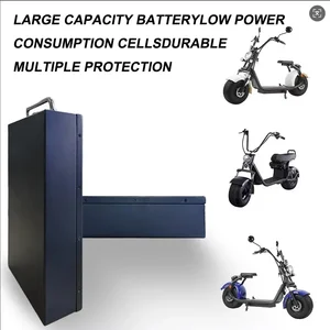 9 Hauptverkauf Batterie 60V 100AH- №1