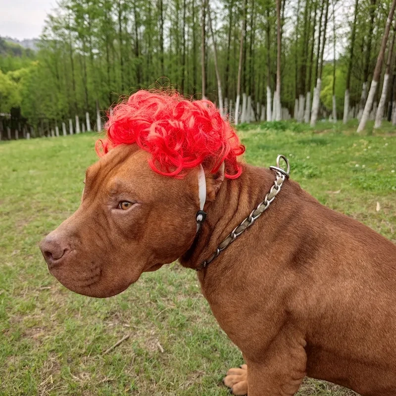 Pet Wigs Cosplay Funny Props Cat Dog Halloween Christmas Cross-Dressing Wig Role Playing Hair Costumes Prank Pet Supplies