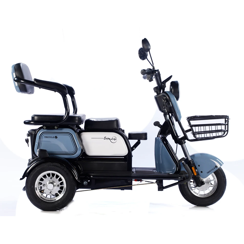 600W 48V Ebike Electric Bike 3 Wheel Tricycle Long Range Multifunction Cargo Electric Bike for Adults