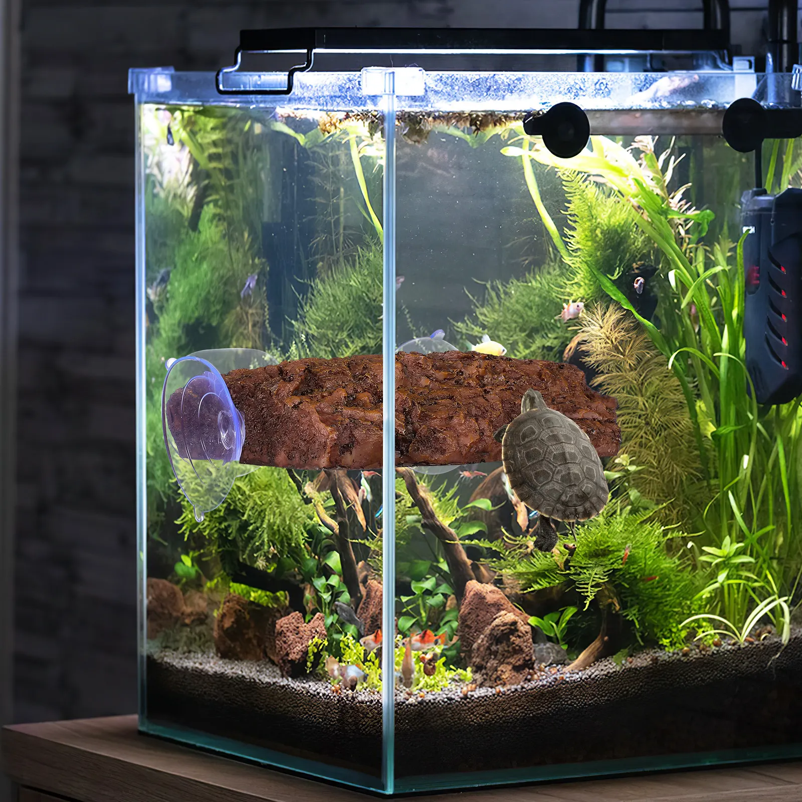 

Платформа для загара рептилий в террариуме: многофункциональная подставка для отдыха с креплением на присоске, безопасное укрытие для ящериц и лягушек