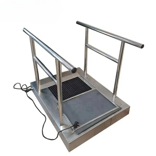 آلة التنظيف النحوية الأوتوماتيكية التجارية/آلة التنظيف النعل #2