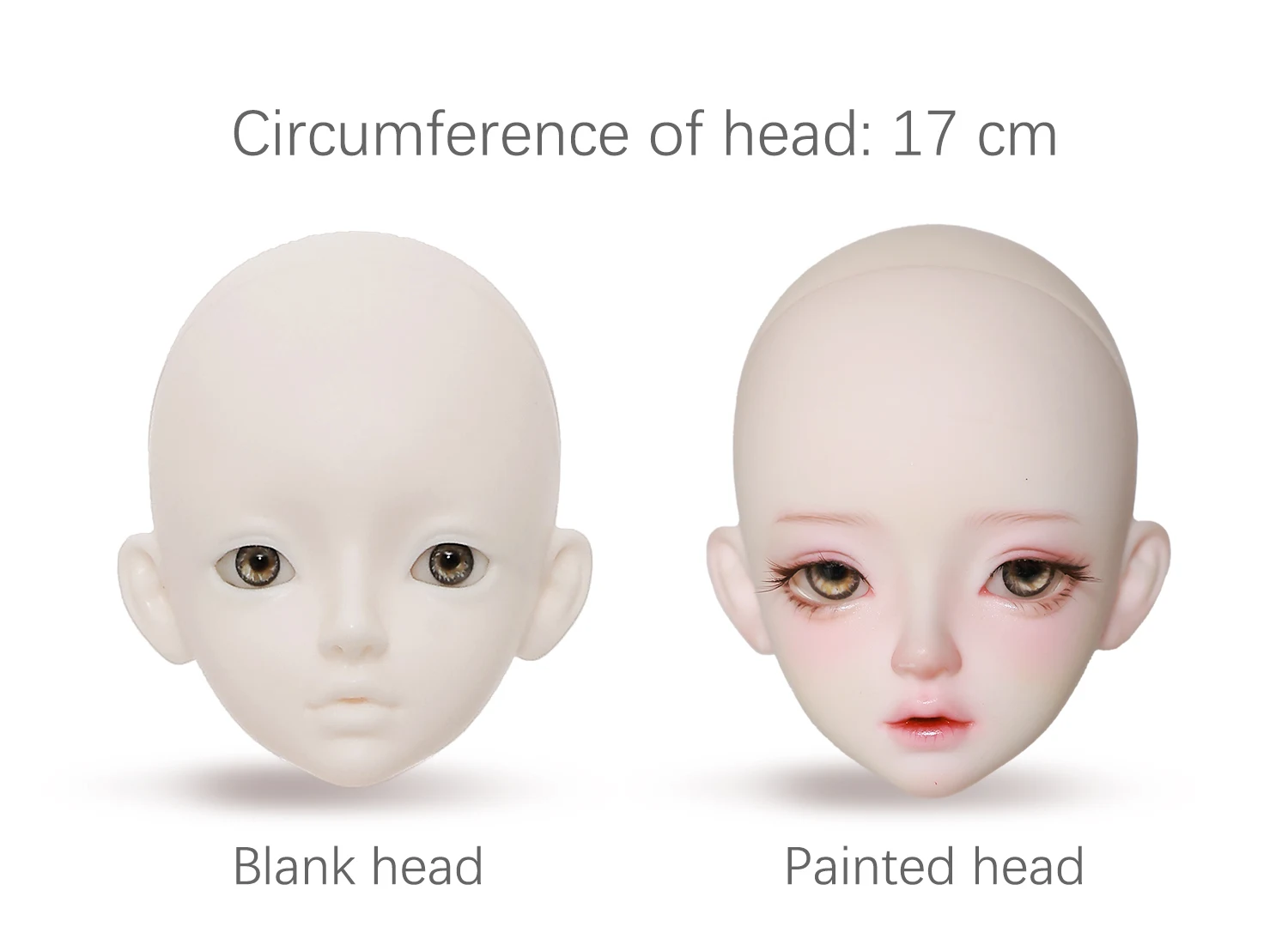 S1a6f71534b534cac84c91dfd04824ce7c