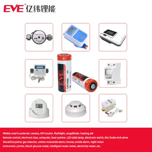 9 Hauptverkauf Batterie Eva - №1
