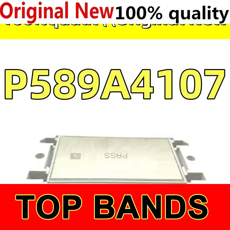 

100% new original P589A4107 MODULE Module