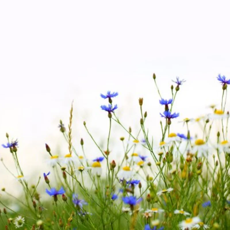 

Металлические аксессуары G500 Рулевой двигатель Mn с дистанционным управлением Автомобильный рулевой механизм с высоким крутящим моментом