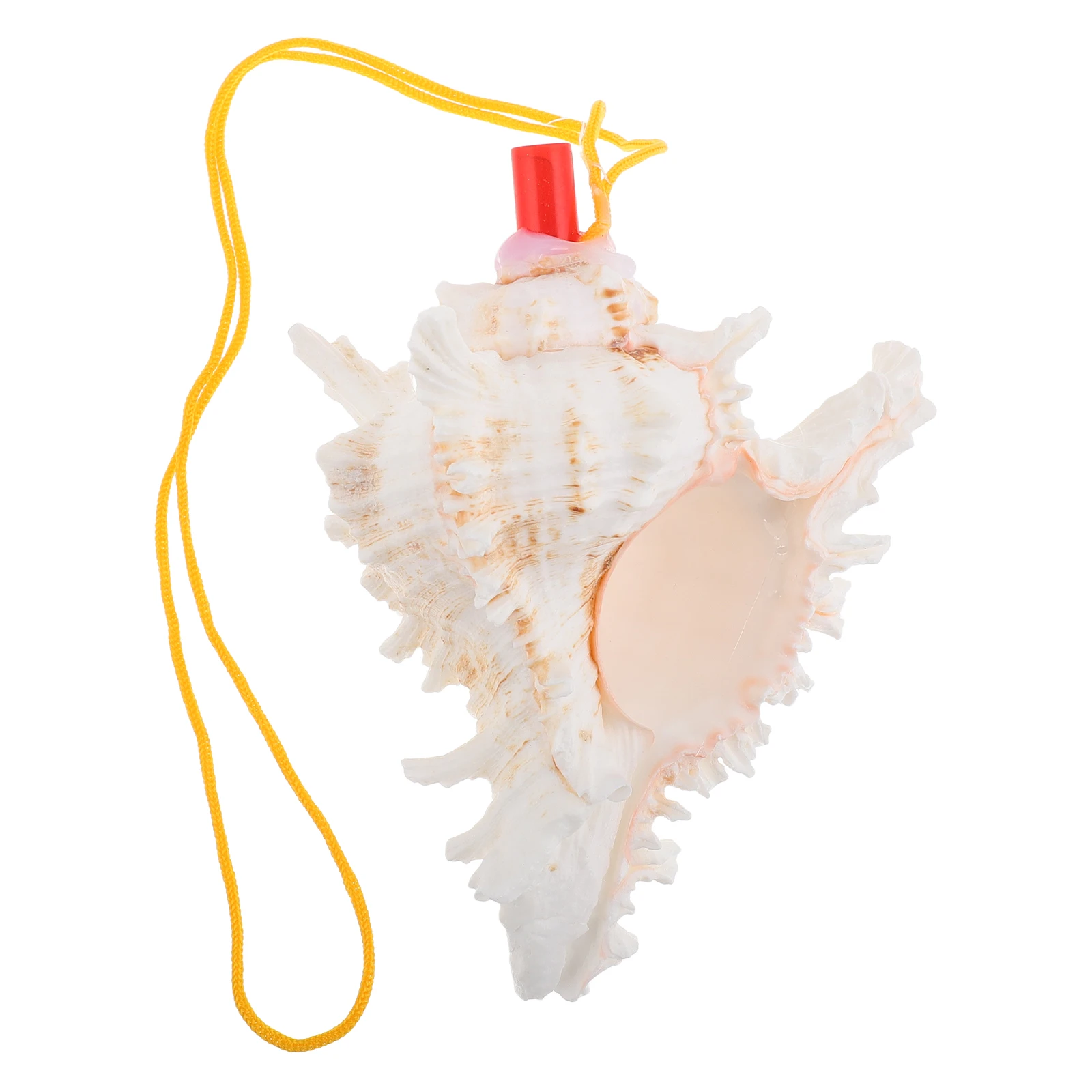 

Large Natural Conch Shell Horn Whistle Decorative Conch Shaped Whistle for Blowing Melodious Shell Instrument Pocket Trumpet