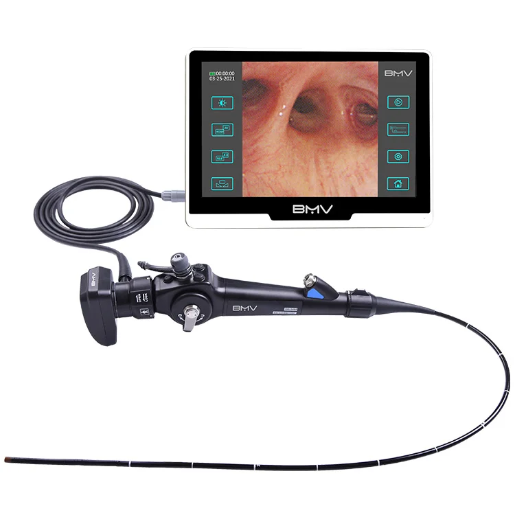 

Flexible Veterinary Gastroscope Endoscope / Vet Endoscopy for Cat Dog Horse and Dolphin Portable Endoscope for Horses
