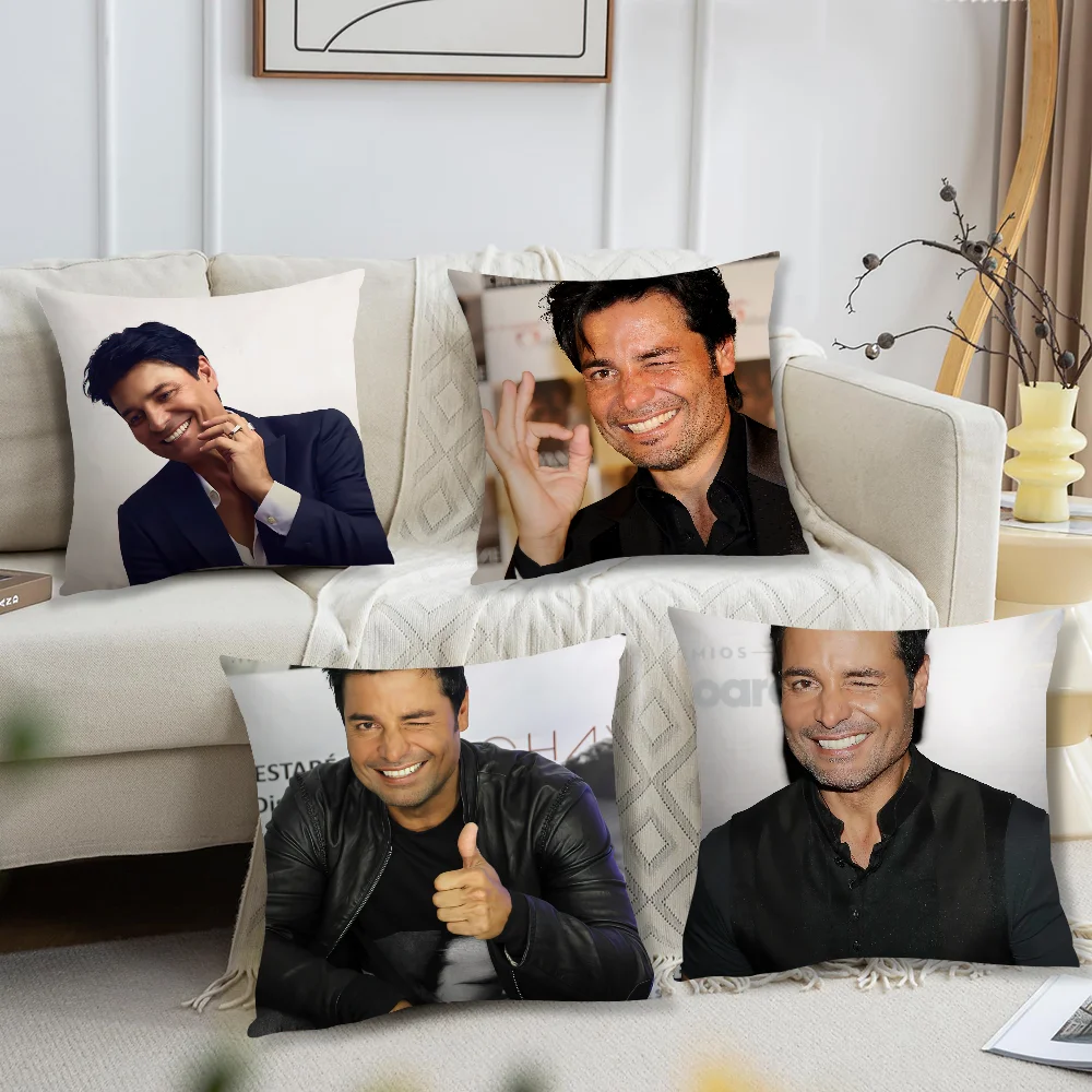 Singer C-Chayanne P-Puerto Cushion Cover Living Room Accent Couch Back Support Square Lounge Restful Nap Companion Pillow Case