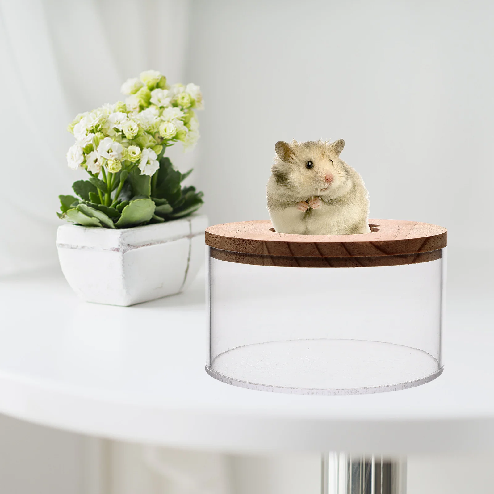 

Household Hamster Bathtub Transparent Delicate Small Sand Bath Box Easy Clean Daily Hamster Bathroom Supply Sand Bath Box