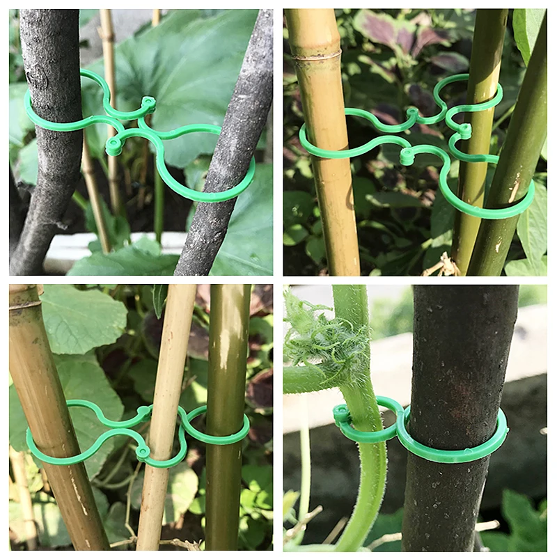 S/L Garden Vine Strapping Clips Plant Bundled Buckle Ring Holder Tomato Garden Plant Stand Tool 10-50Pcs Garden Decor Acc