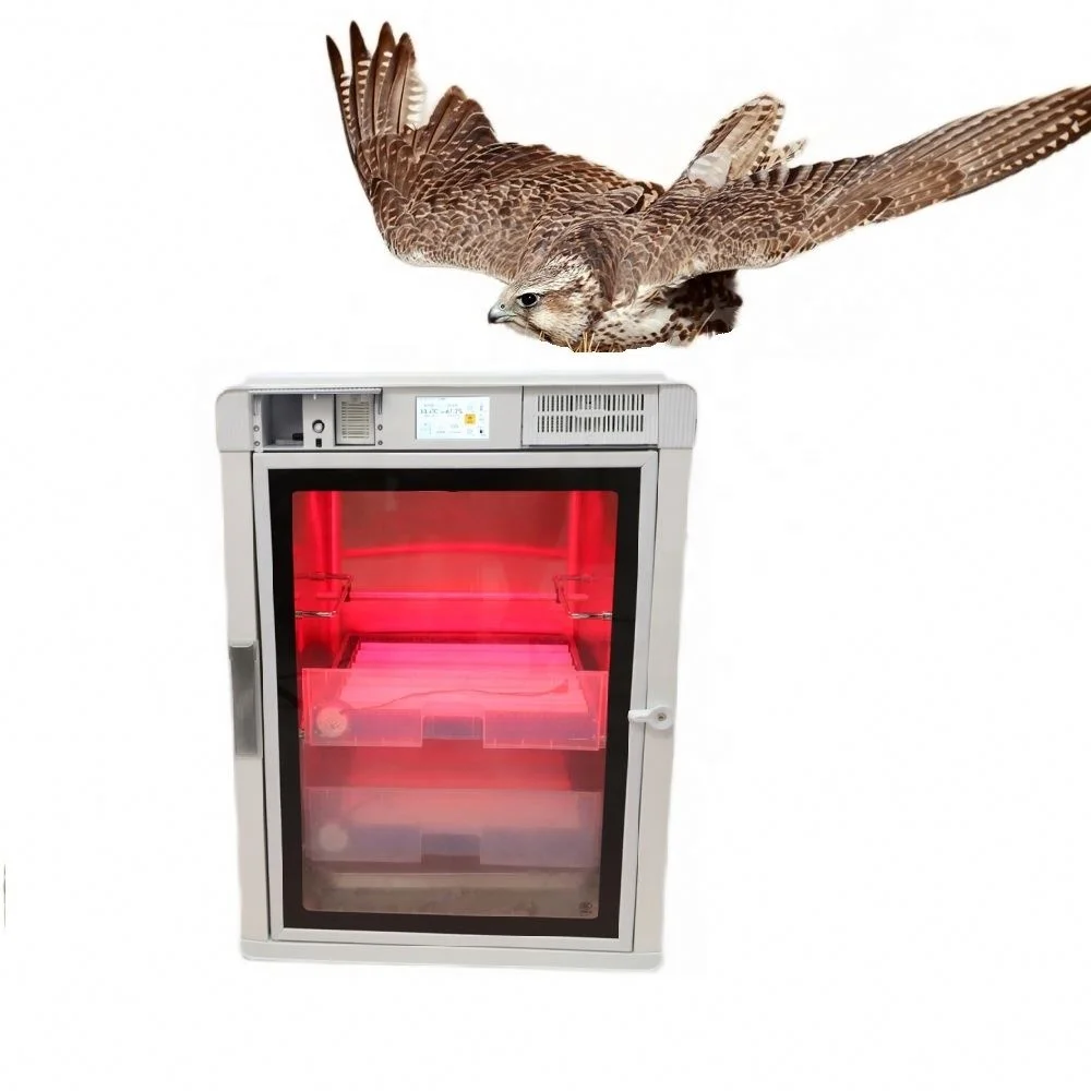 Incubadora Australiana para Aves, Incubadora Automática de Huevos de 90 Huevos, Incubadora de Huevos de Codorniz de 112 Huevos, Nueva en Senegal