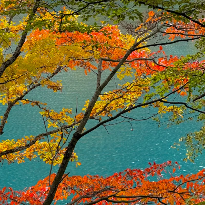 

Holybro Pixhawk Debug Adapter - Compatible with Pixhawk 5X/4/4 Mini, Durandal & Pix32 V5, for Flight Controller DIY Systems