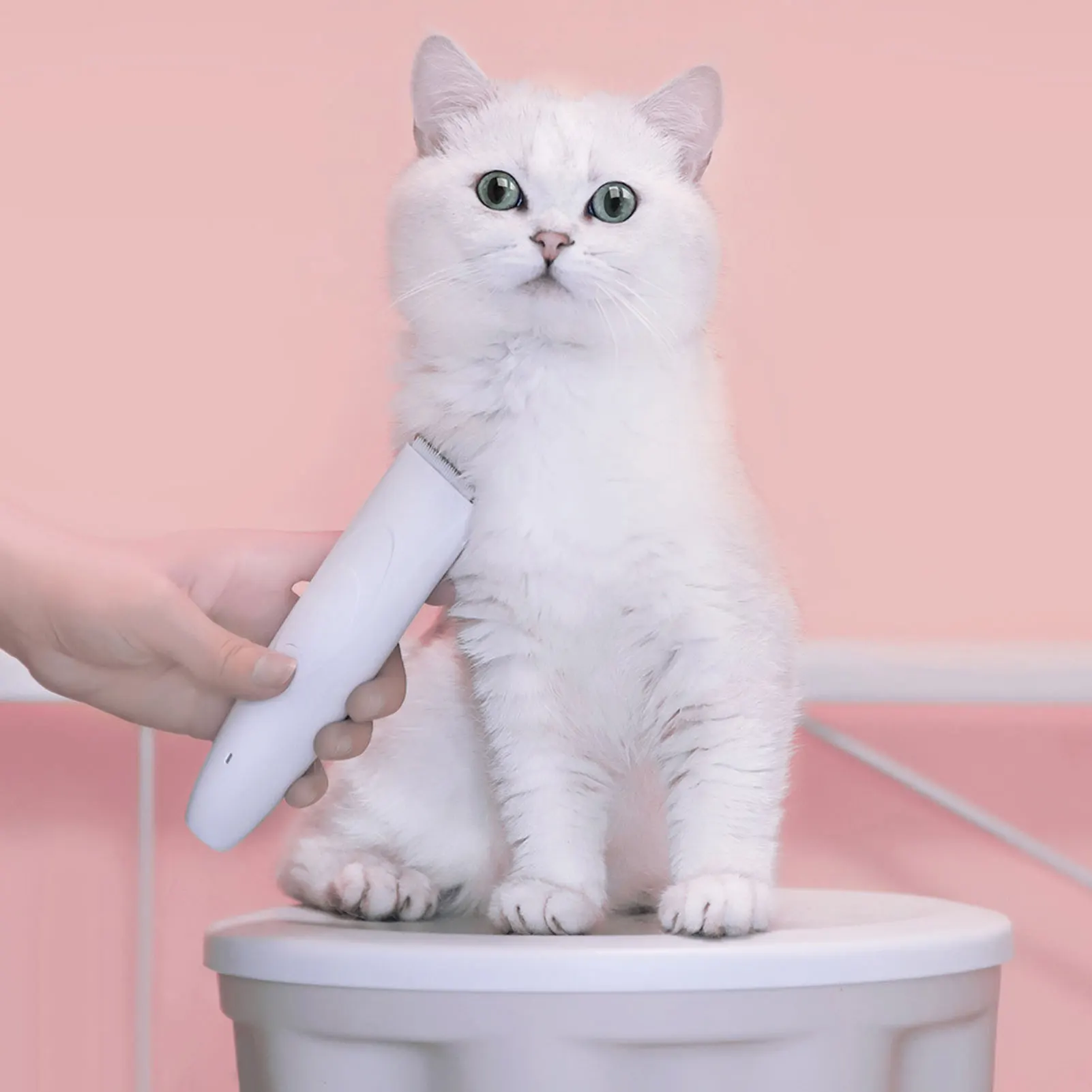 Afeitadora eléctrica para mascotas, cortadora de pelo de bajo ruido, cuchilla afilada segura, recortadora de dientes para perros y gatos, caída de pelo