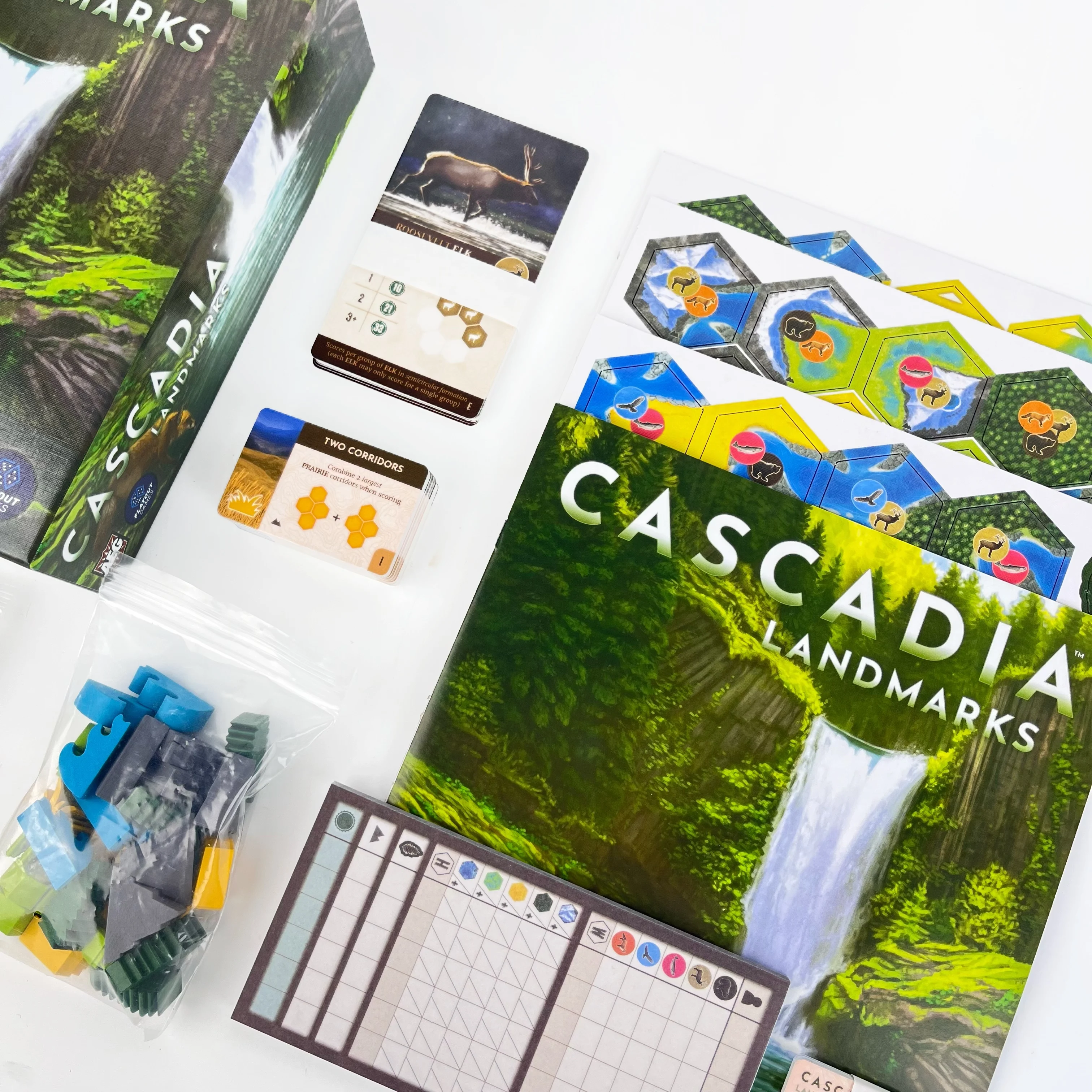 Strategie-Brettspiel Cascadia: – Board Game Harmonies Bewertung und Preis