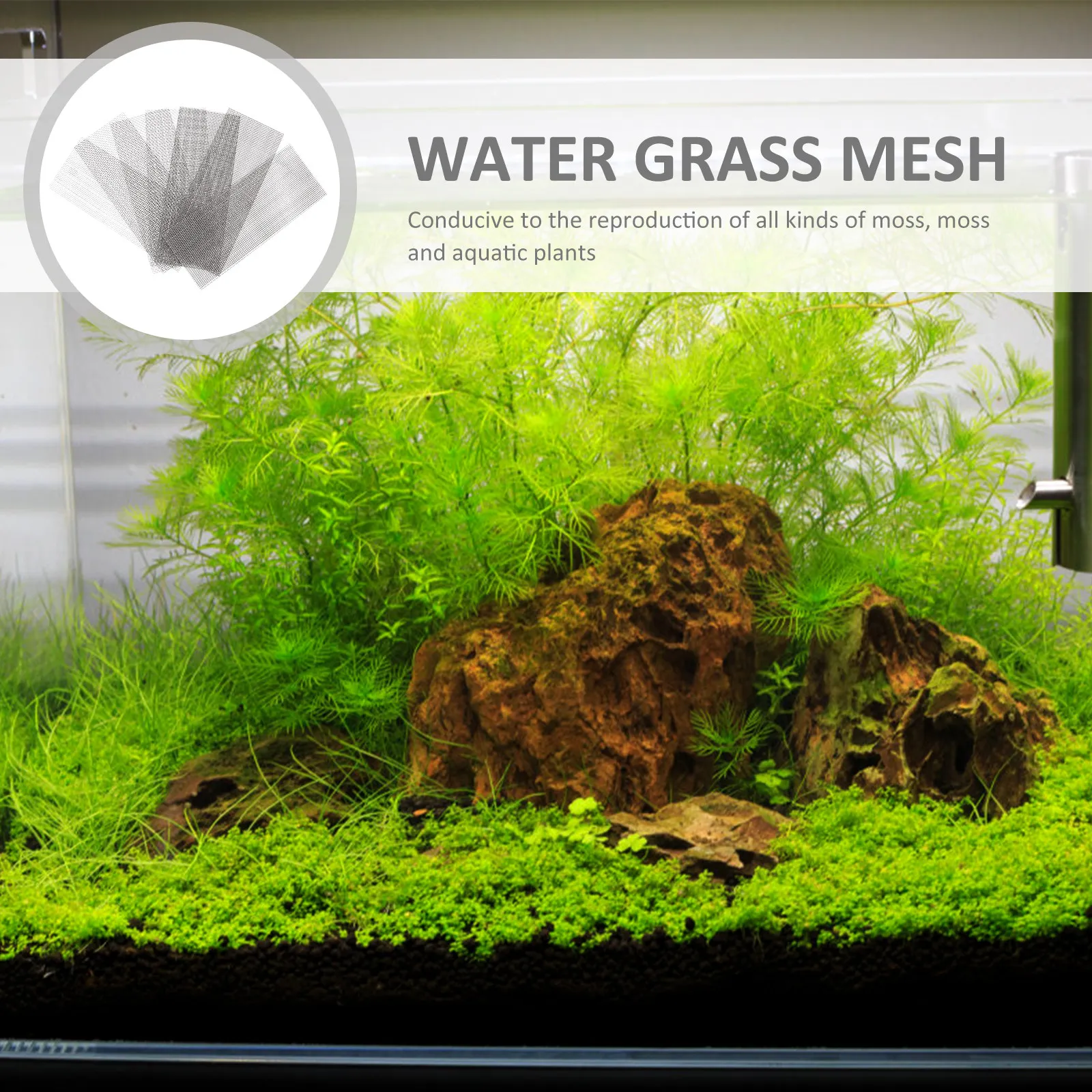 10 Piezas de Red de Malla de Acero Inoxidable para Fijar Plantas de Acuario, Segura para Peces y Camarones, Decoración DIY con Hierba Acuática y Musgo