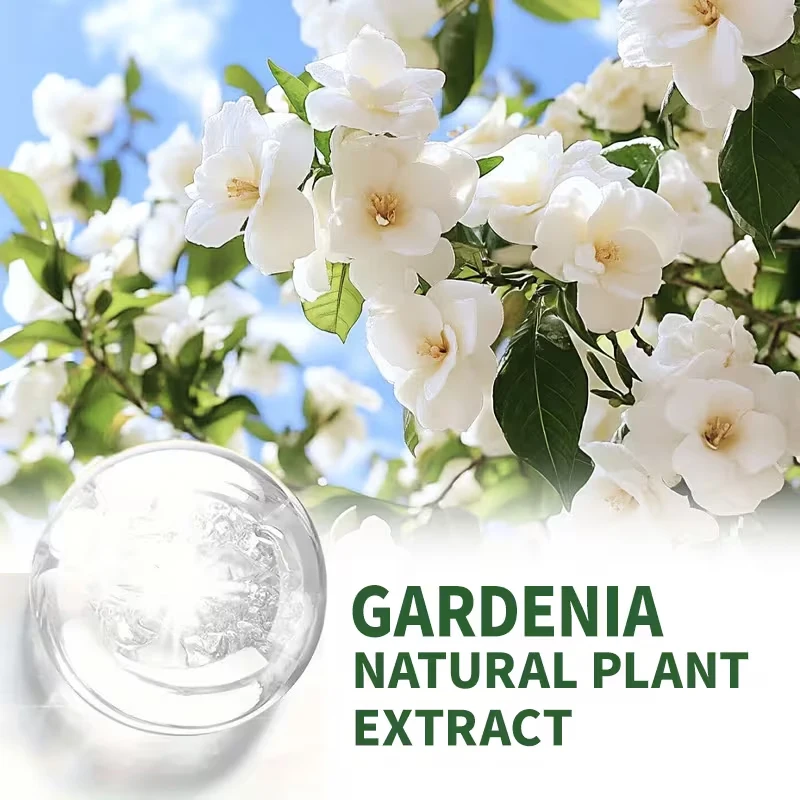 3.38 Ounces Gardenia Floral Essential Oil: Floral Scent, Suitable for Face, Nails, Hair, Eyelashes, Gua Sha, Body, and Massage. Suitable for All Skin Types, Unisex. High-Quality Moisturizing Fragrance Essential Oil.