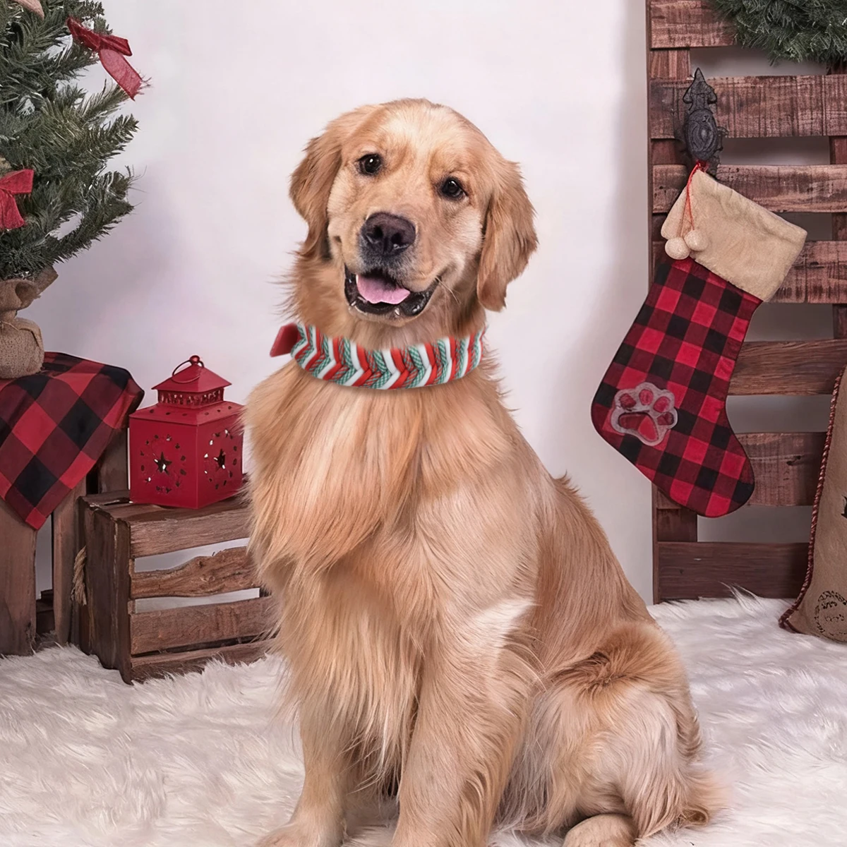 Strapazierfähiges Nylon-Hundehalsband für Weihnachtsgeschenke mit großem Mittel- und Welpenzubehör, modisches, verstellbares, farbenfrohes Gurtband – Detail 9