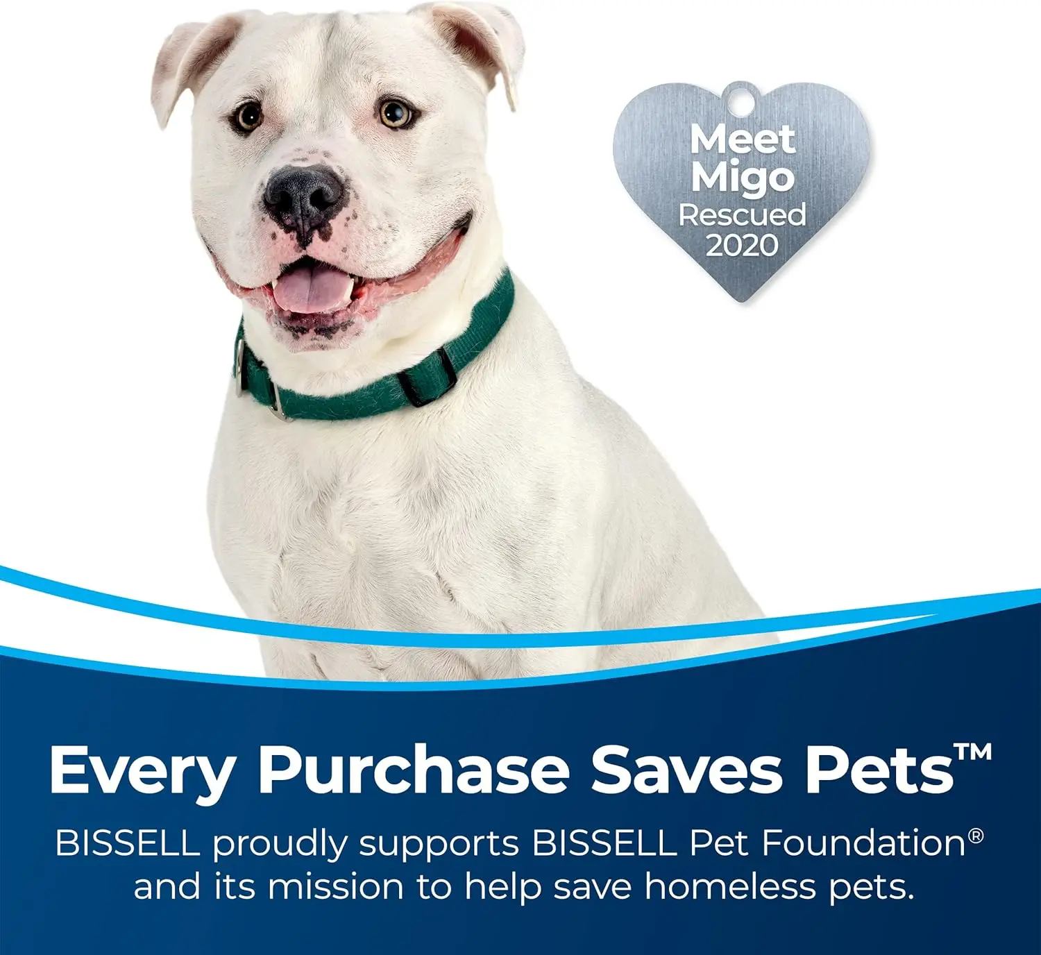 Vácuo para animais de estimação com rebobinamento de alérgenos multicamadas com sistema selado de filtro HEPA, rebobinamento automático de cabo, rolo de escova sem emaranhados e cabeçote de LED