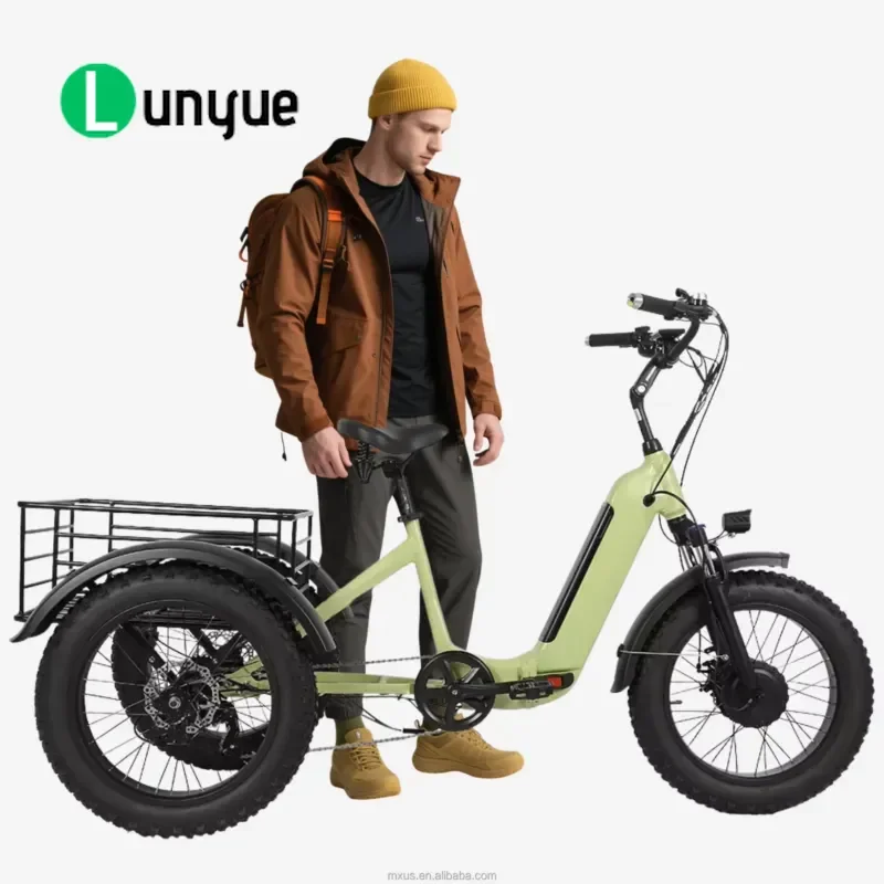 500W 48V Folding Electric Tricycle with Taijin Differential Hydraulic Brakes 20x4 Inch Fat Tire Adult Off Road Bike