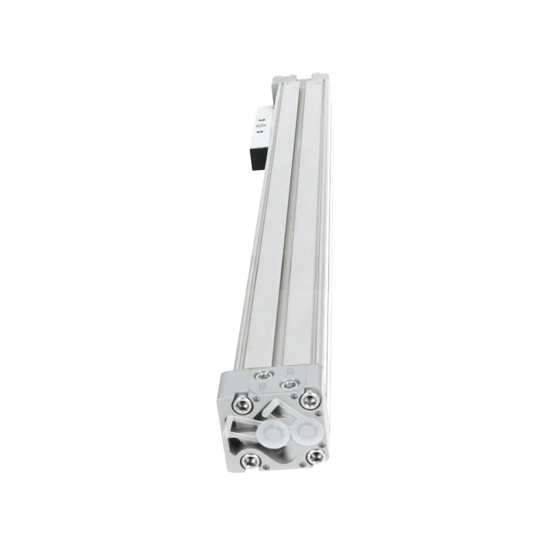 اسطوانة بدون قضيب DGC-K-50-750-PPV-A-GK
