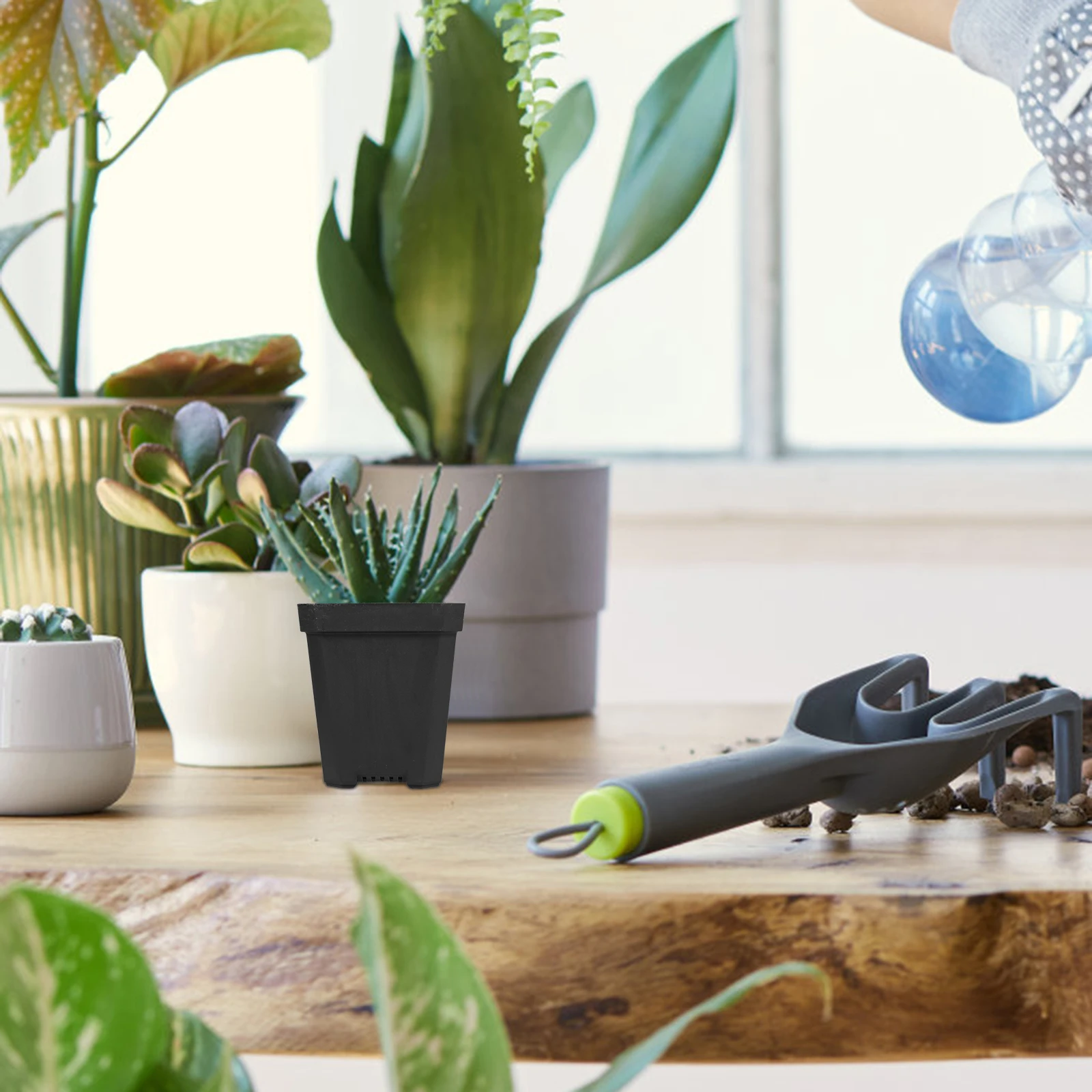 

20 Pcs Small Flower Pots of Succulent Green Plants Indoor Plastic Planter Practical Nursery Potspots for