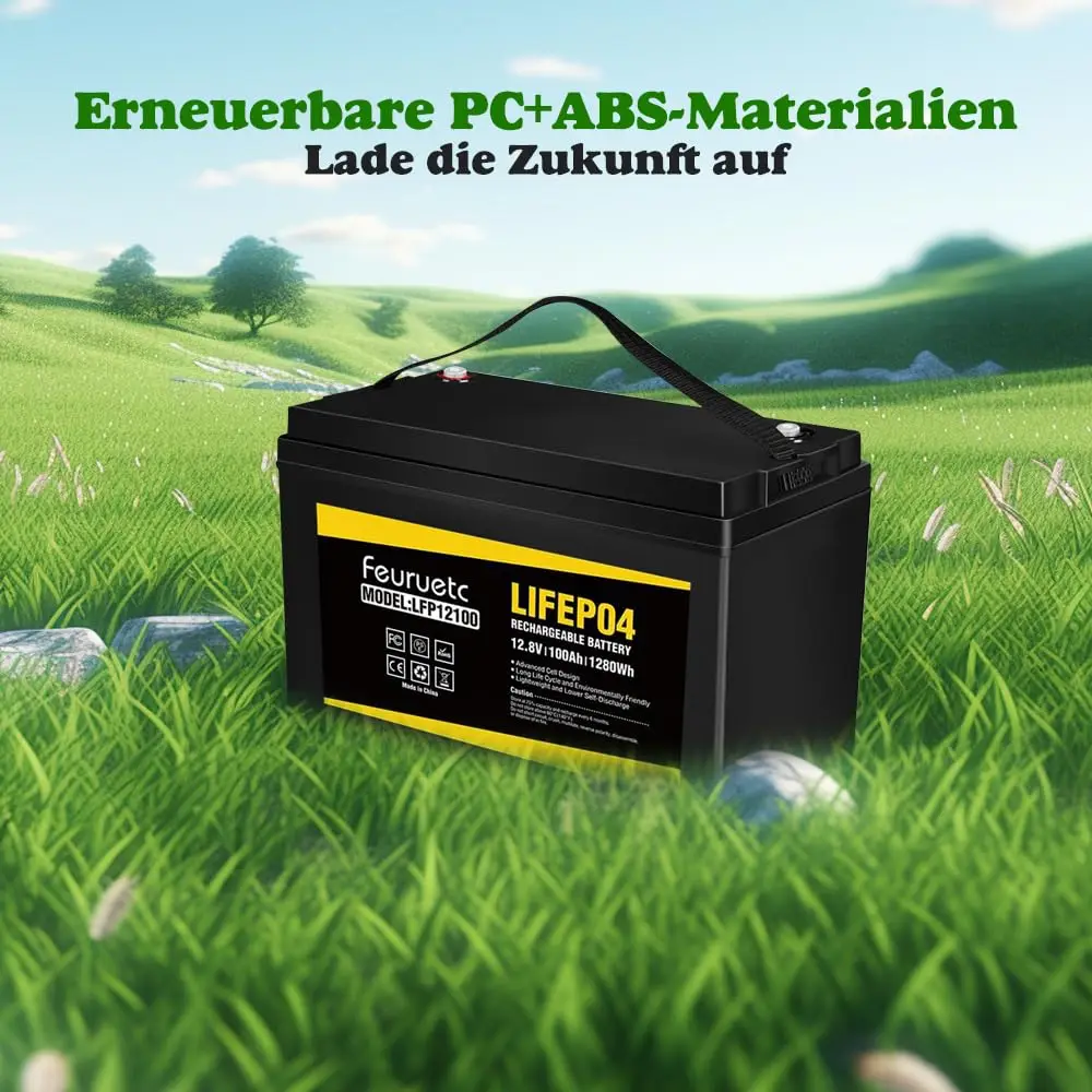 12V 100Ah LiFePO4 Deep Cycle Battery,100Ah Lithium Battery Built-in BMS, Rechargeable 12V LiFePO4 Battery for Solar Home （2PCS）