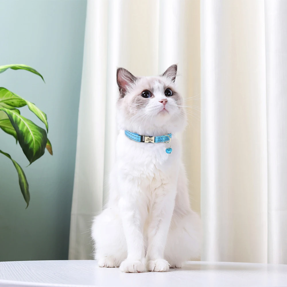 Eingraviert Individuelles Katze Kragen Reflektierende Kätzchen Welpen Halsbänder mit Glocke Personalisierte Pet Katzen Kragen Halskette Zubehör 1cm Breite – Detail 19