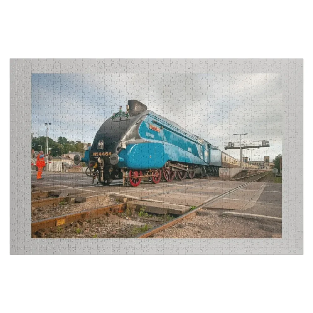 Bittern at Exeter Jigsaw Puzzle Toddler Toys Jigsaw Pieces Adults Puzzle