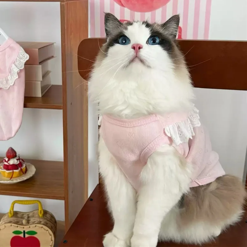 Chaleco perro cereza algodón verano – ropa suave y dulce para mascota - imagen 5
