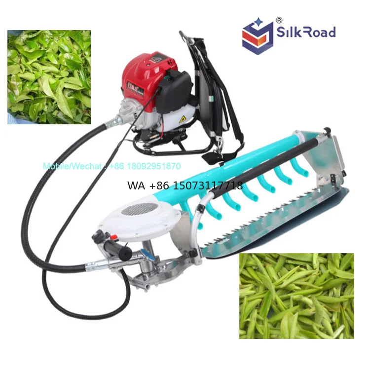 

Large Stock Tea Leaf Harvesting Machine