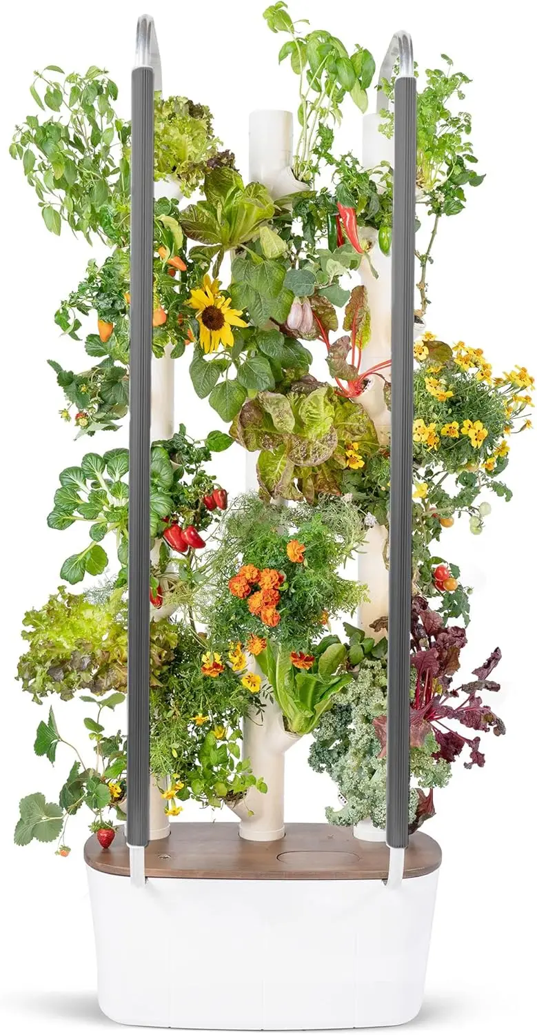 Sistema de cultivo hidropónico Vertical para interiores, plantador de jardín, incluye 30 plantas de interior sin GMO, hierbas y luces LED de cultivo