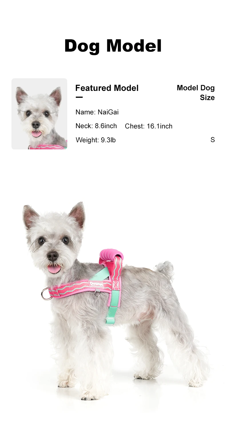 Comfortable Padded Dog Harness For Walking And Lifting Outdoor_voghion.com