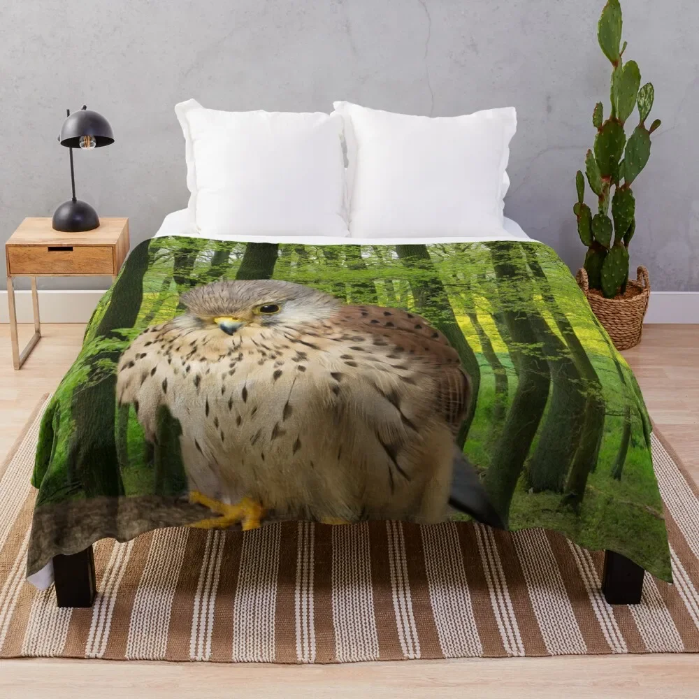 

Little hawk - wildlife photography Throw Blanket Picnic Flannels Sofa Summer Blankets