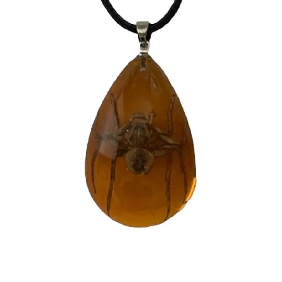 

Real Spider Necklace Insect in Resin Pendant