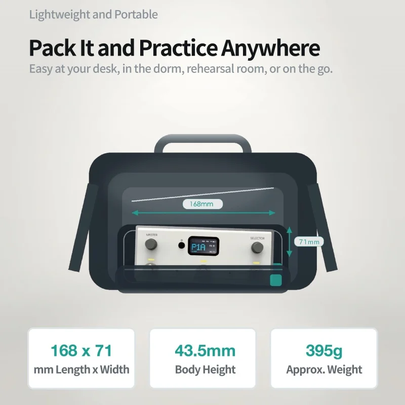 Livtra Mosaic Portable All-In-One Recording Practice Song Transcription Drum Programming Multi-Effect Processor