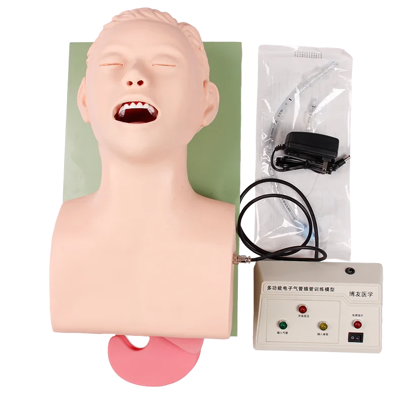 DARHMMY modelo de entrenamiento traqueal humano electrónico para adultos, maniquí de entrenamiento de intubación endotraqueal con alarma de presión