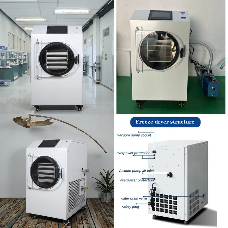 Home Use Small Lyophilizer Milk Powder Candy Drying Machine Dehydrated Vegetables Fruits 4kg 6kg Freeze Dryer