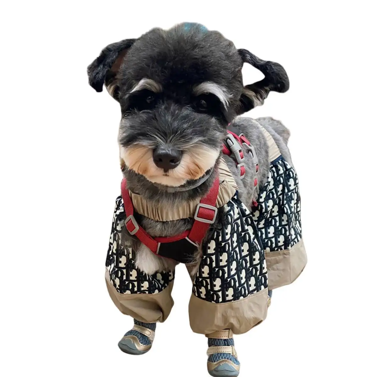 

Dog dust-proof walking pants spring and summer anti-dirty and insect-proof thin four-legged trouser leg covers for small dogs